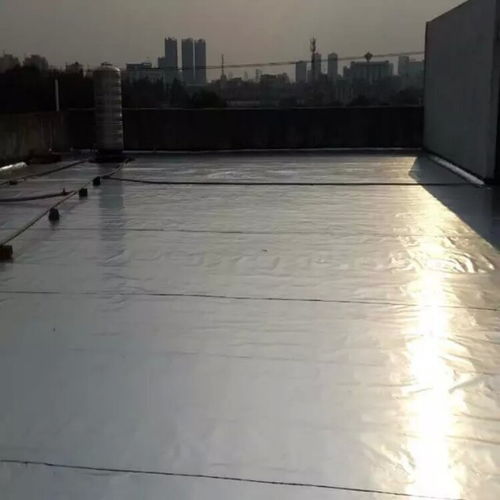 深圳羅湖屋面防水補漏與建筑結構防水補漏全攻略