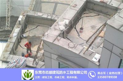 建筑結構防水補漏與天花補漏服務詳解 — 望牛墩及東莞志順防水補漏實踐